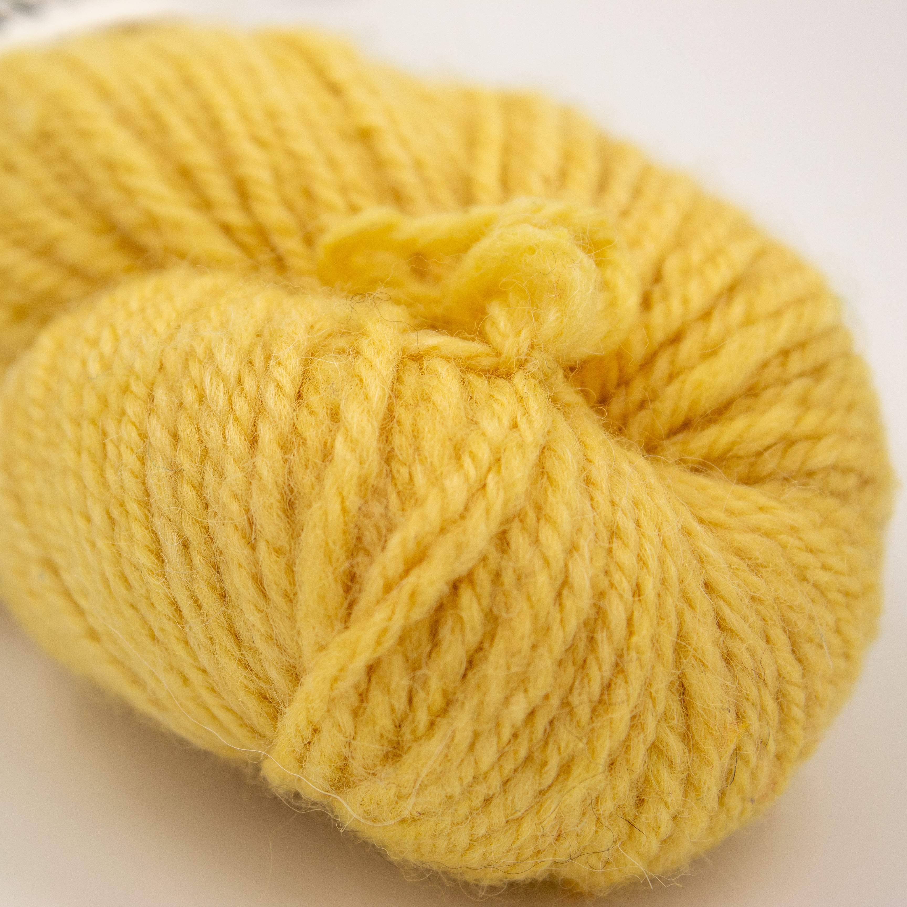 Sincere Sheep Covet in Mrs. Fisher