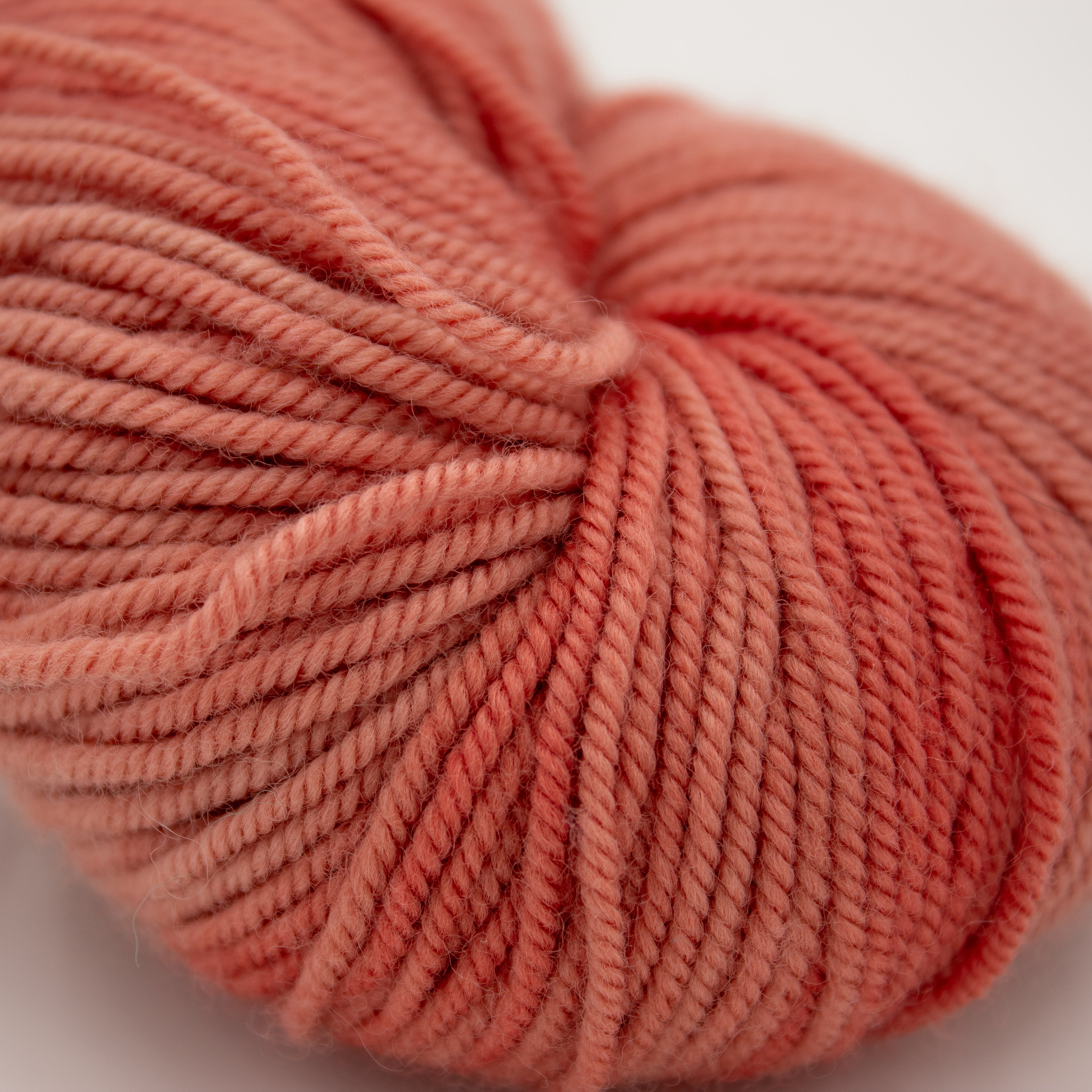 Sincere Sheep Loops Love Club Yarn in Conch Shell