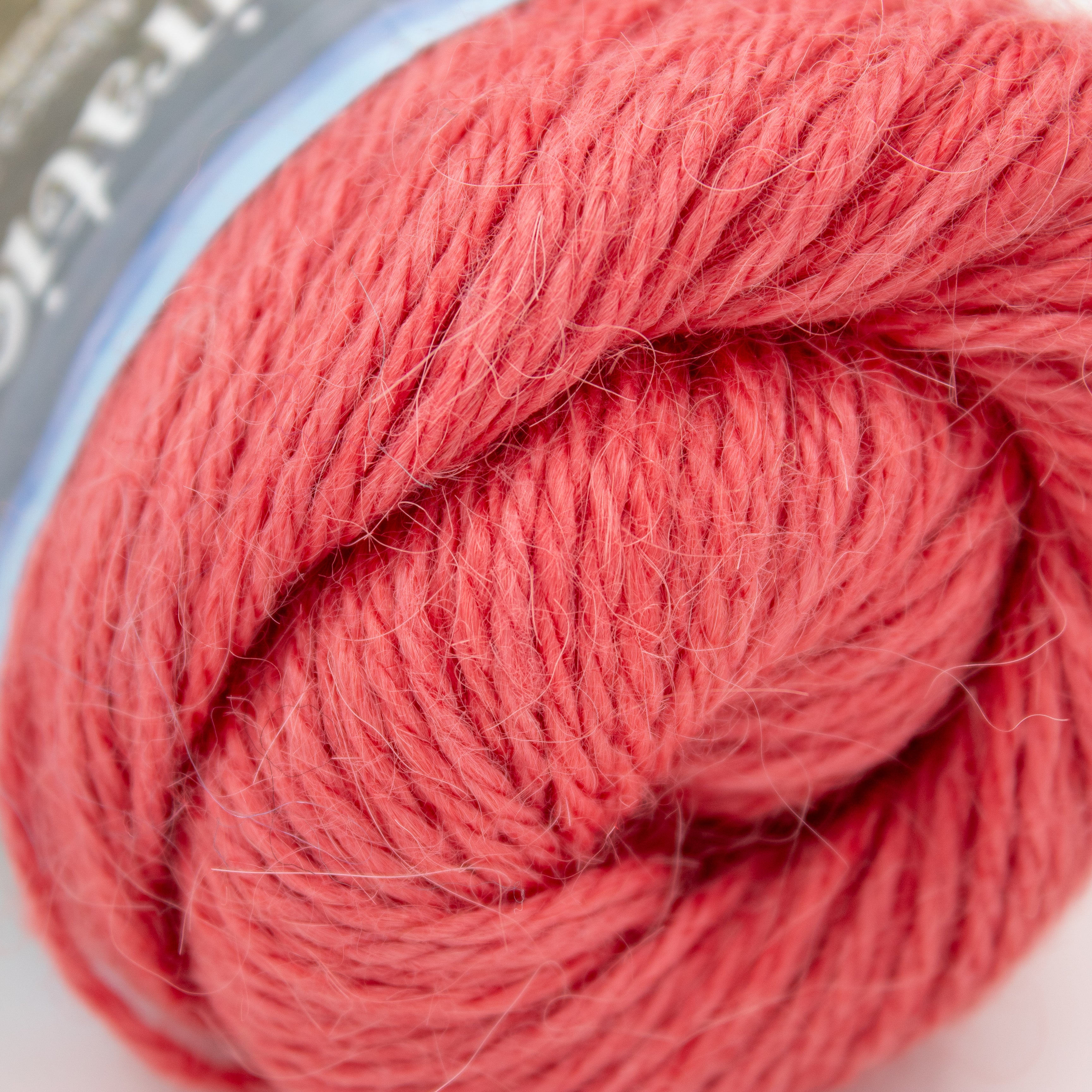 Southwest Trading Company Inspiration in Rose