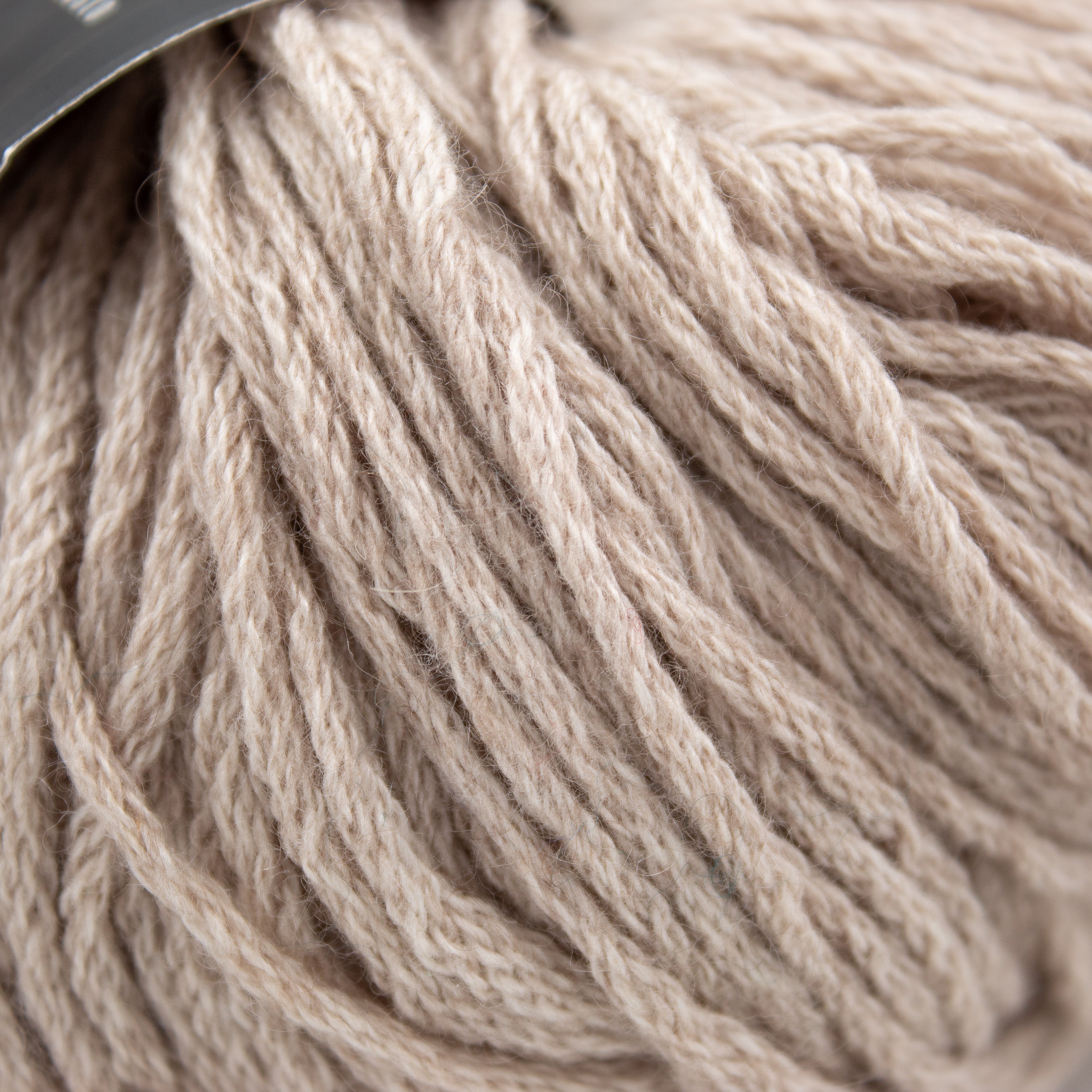 String Cashseta in Dune