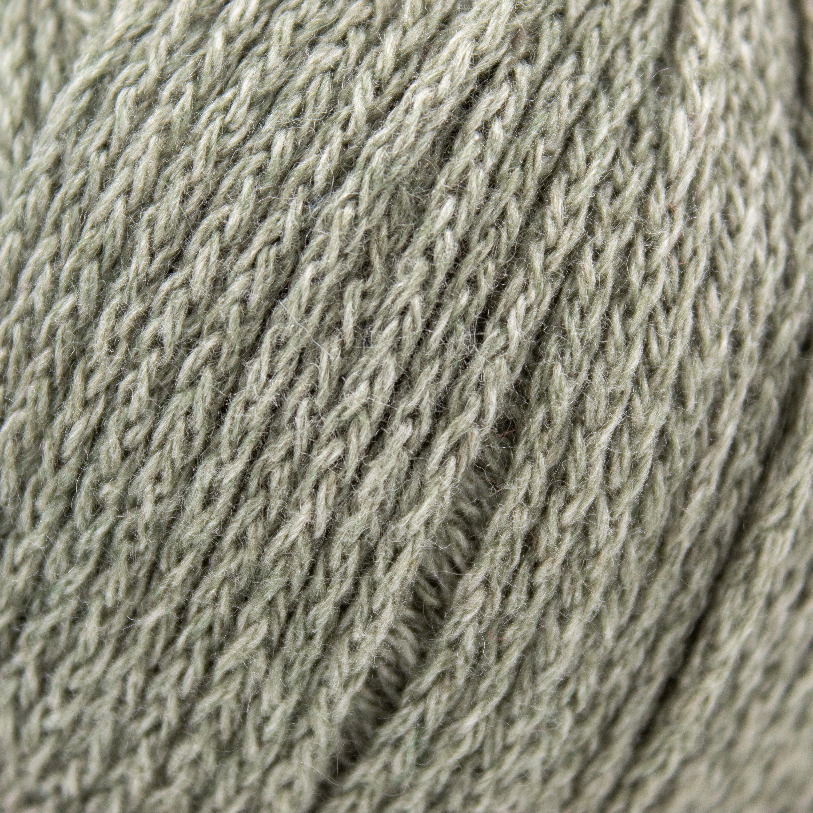 String Cashseta in Olive