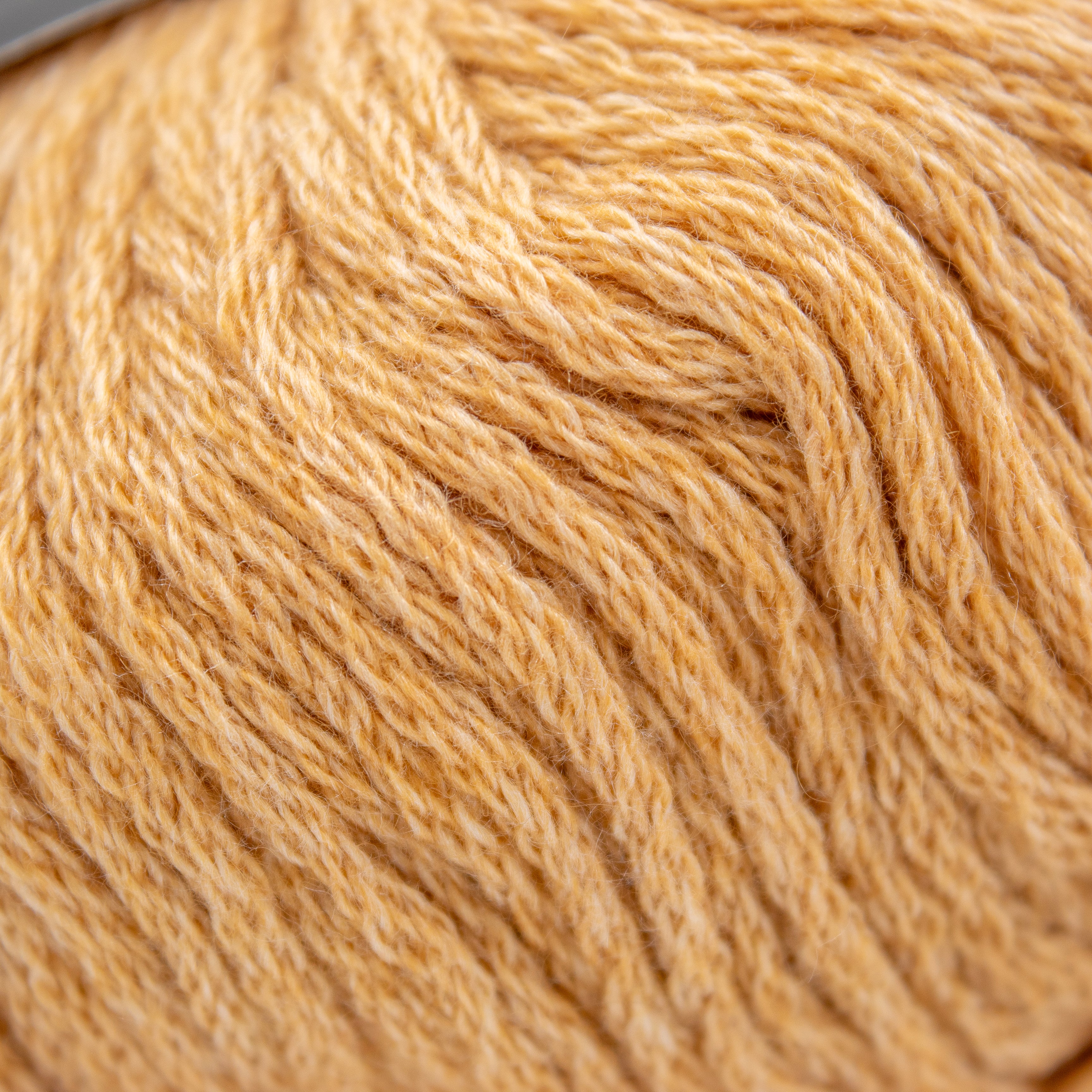 String Cashseta in Wheat