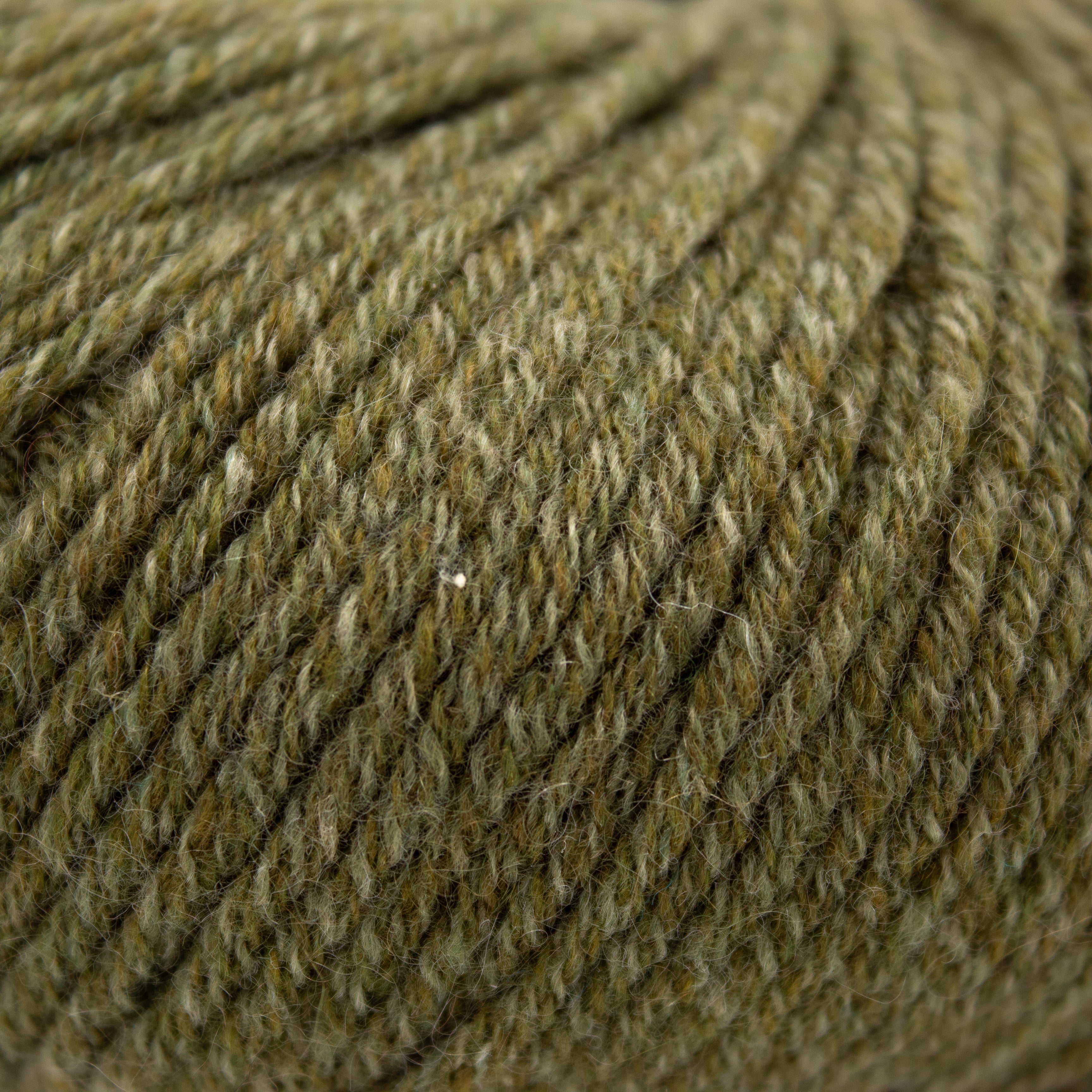 String Classica DK in Dark Moss