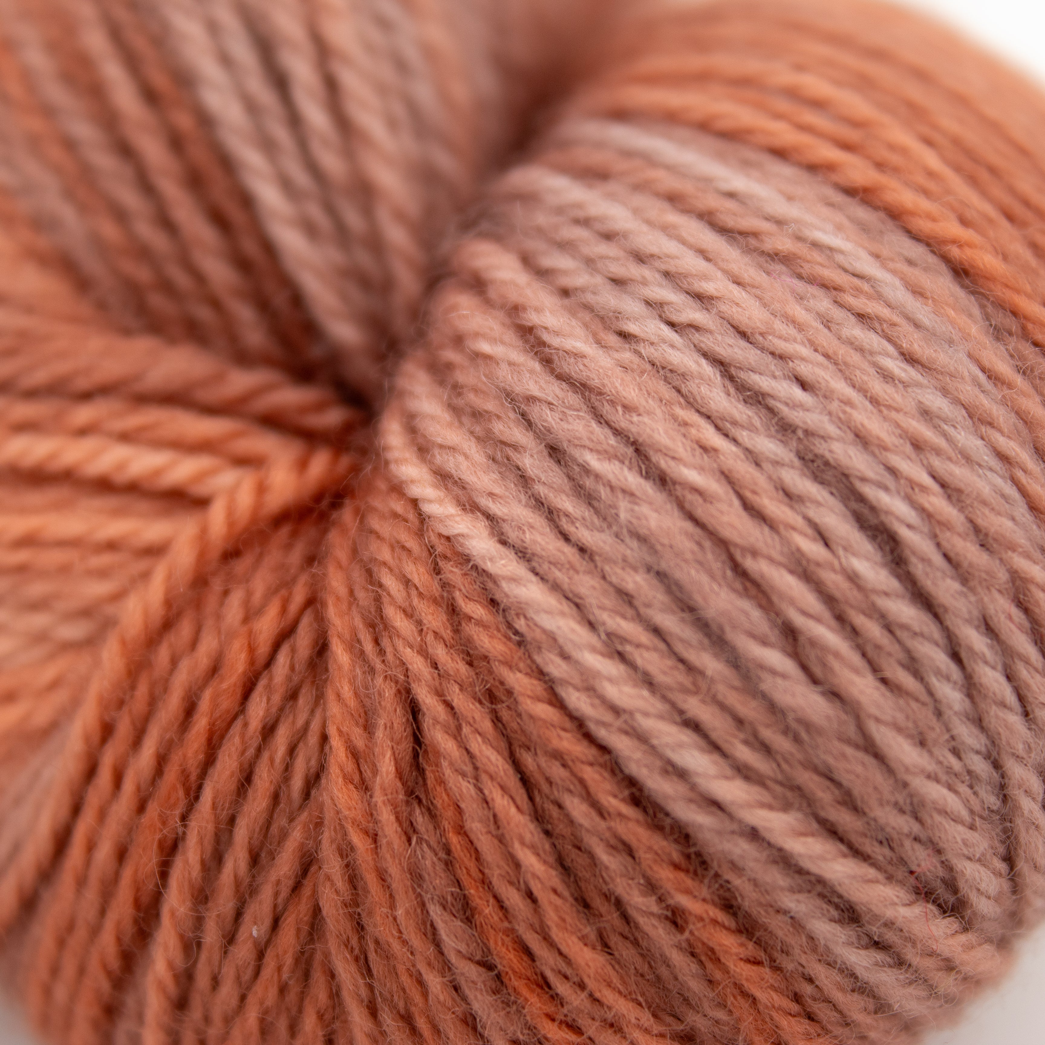 Stunning String Studio Stunning Superwash in Copper Beaches