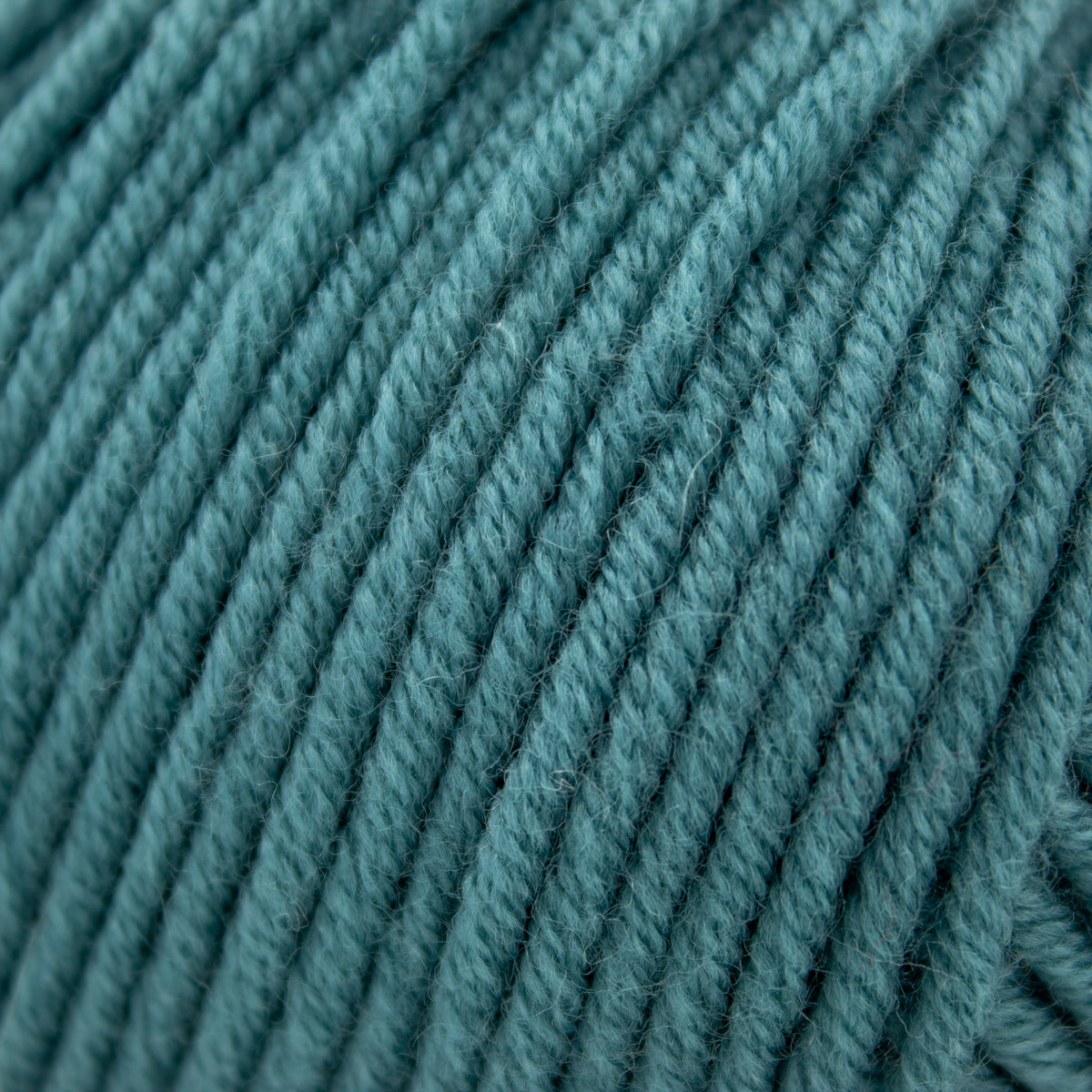 Sugarbush Bold in Truro Teal