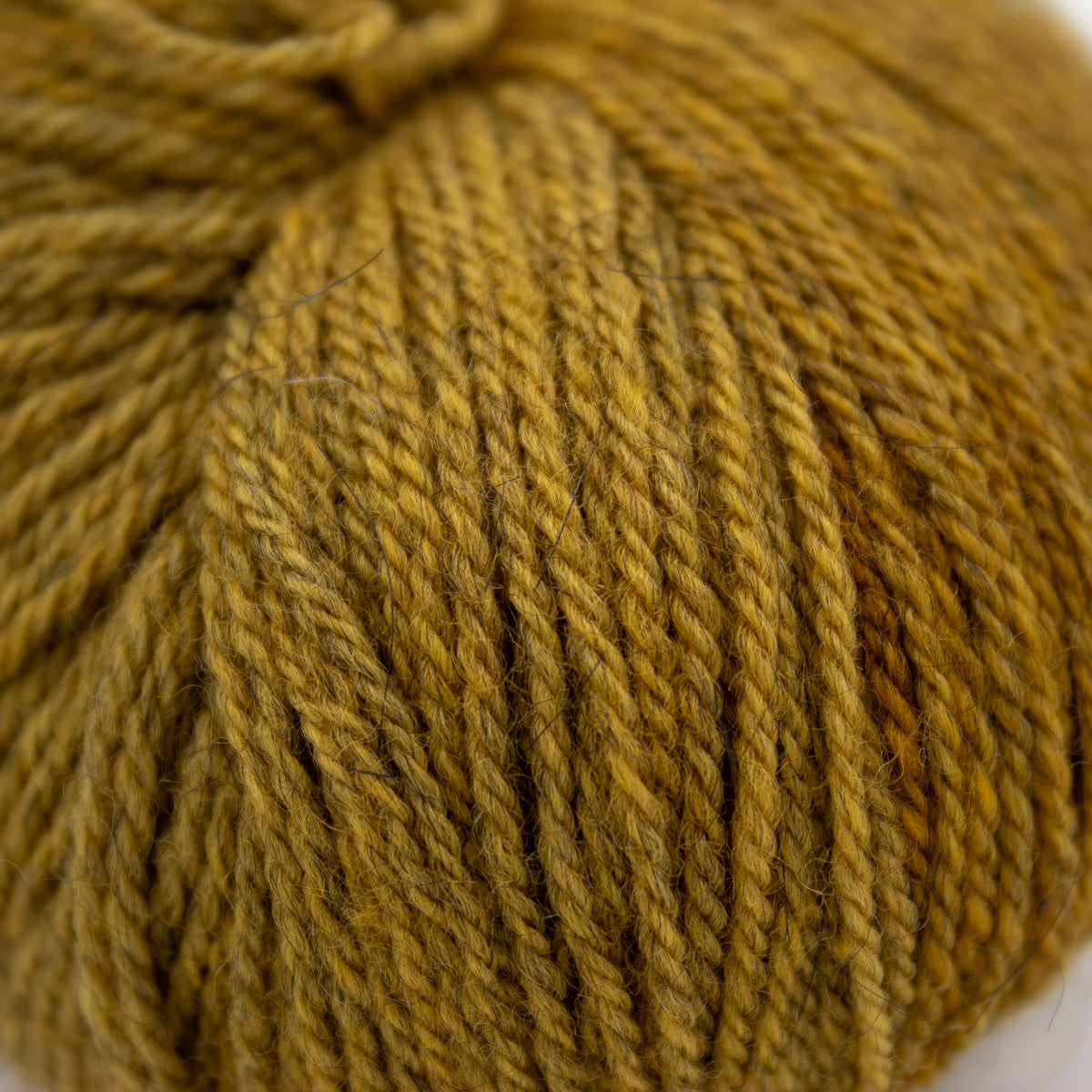 Swans Island Fingering in Citrine