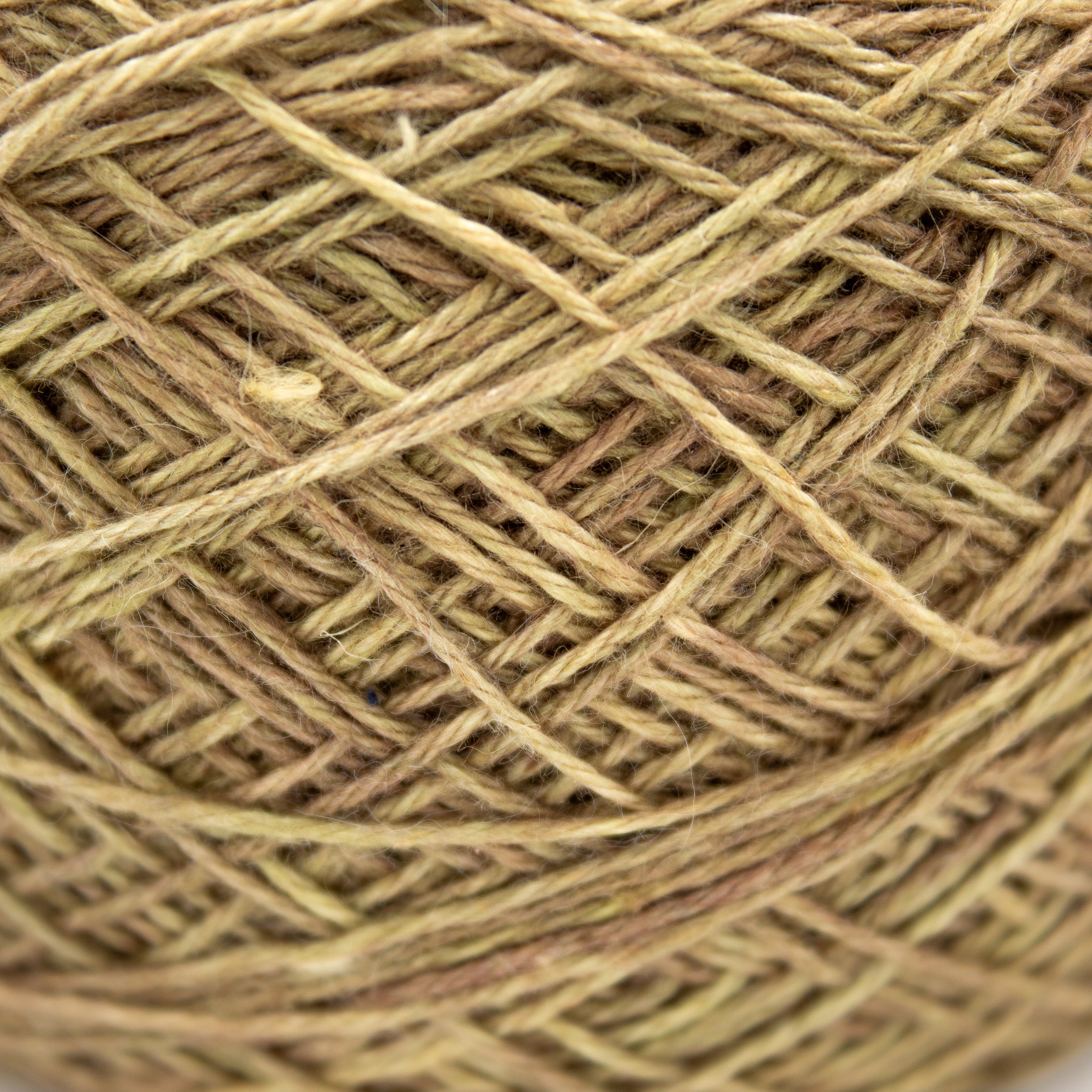 SweetGeorgia Flaxen Silk Fine in Boreal Forest (CAKED)