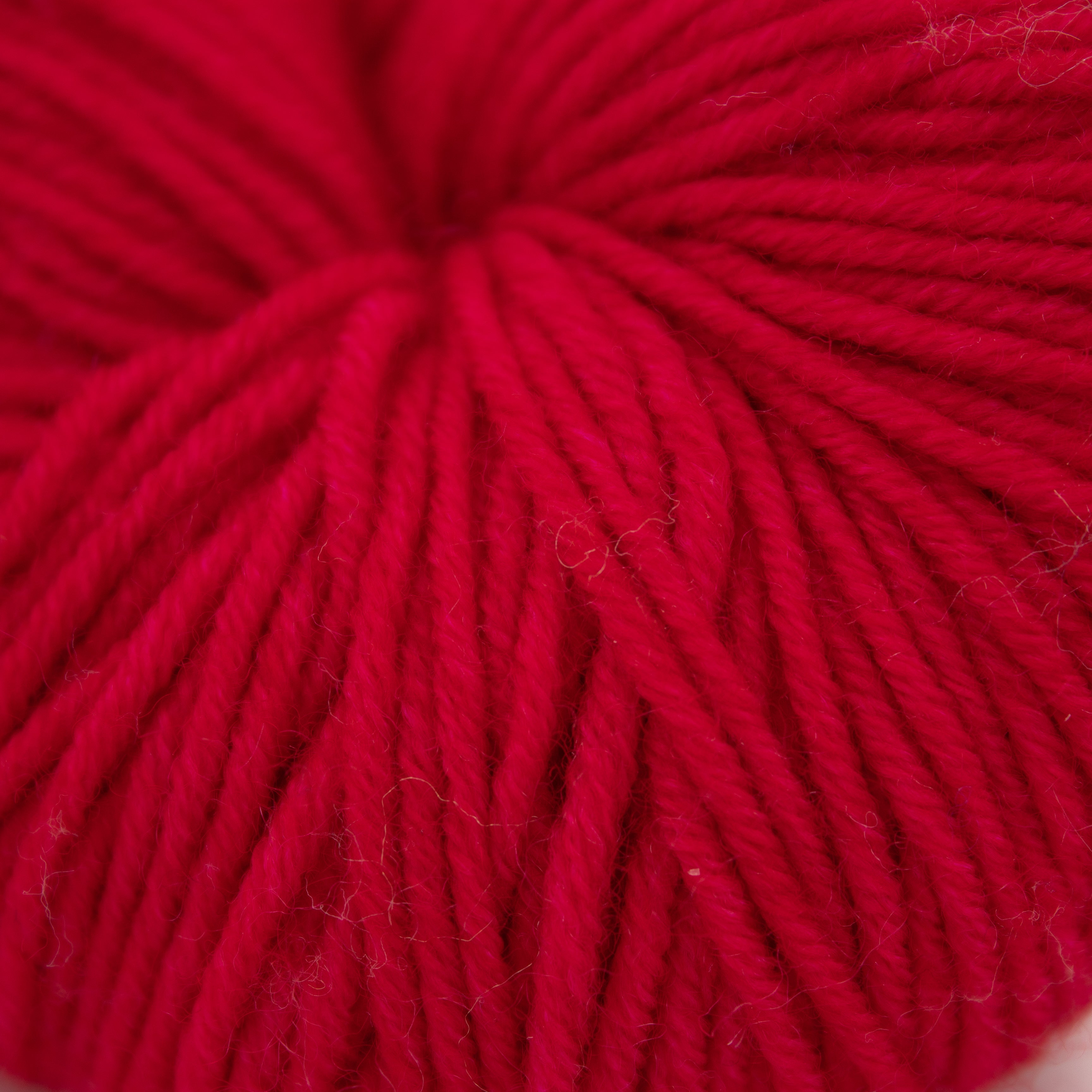 The Royal Bee Company DK in Flock Red