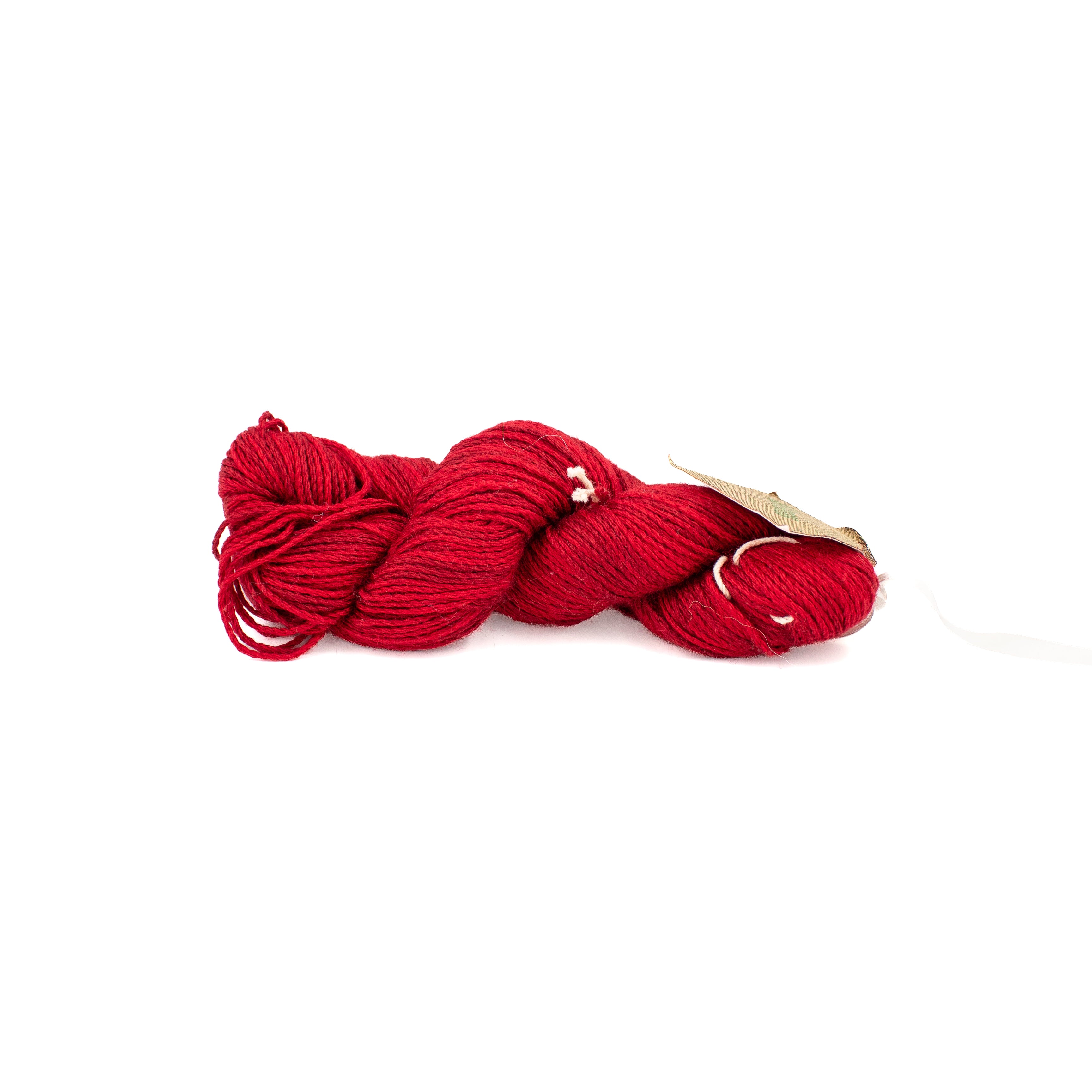 Tilli Tomas Elsie in American Beauty