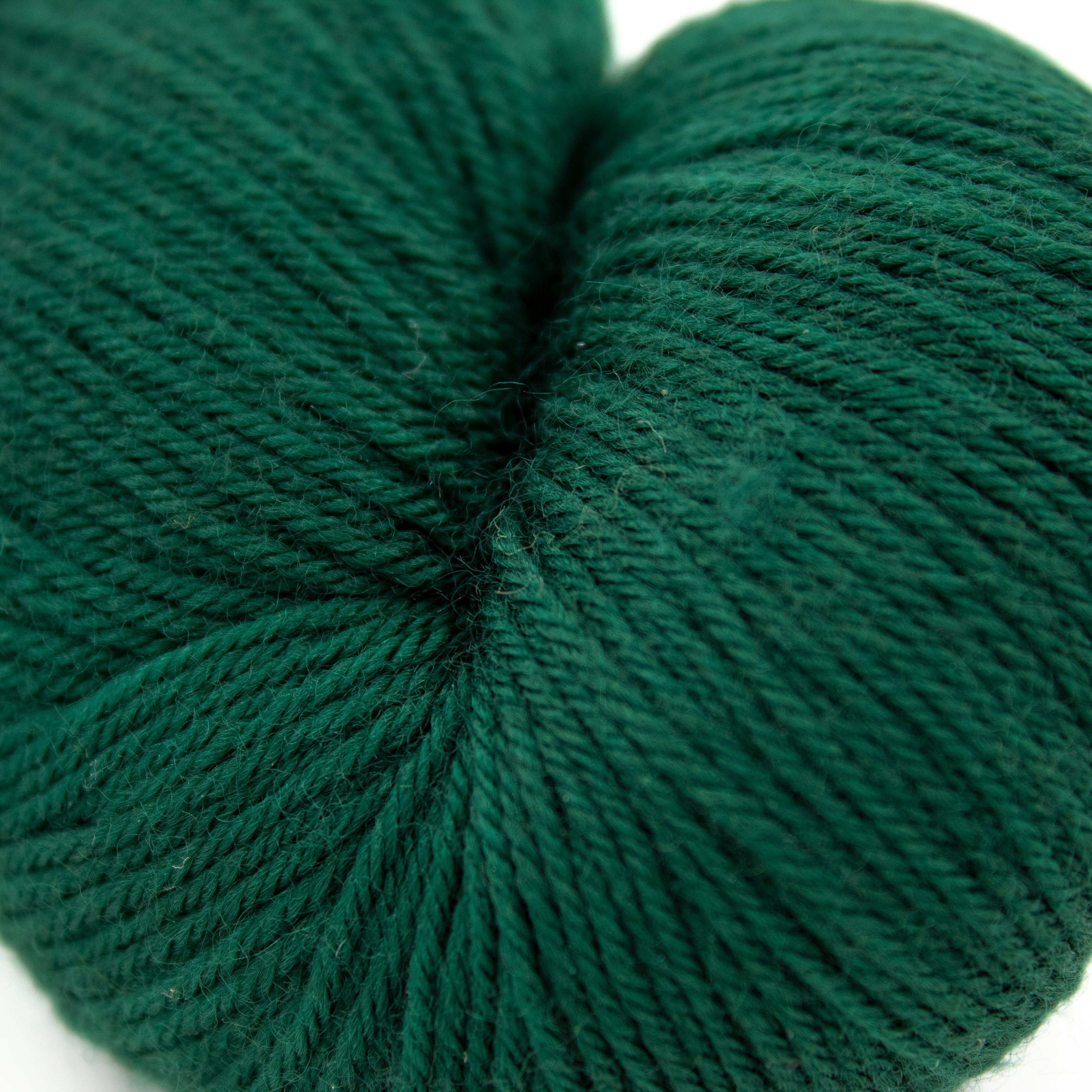 Treehouse Knits Spruce Sock in I Swear I've Seen This Tree Before