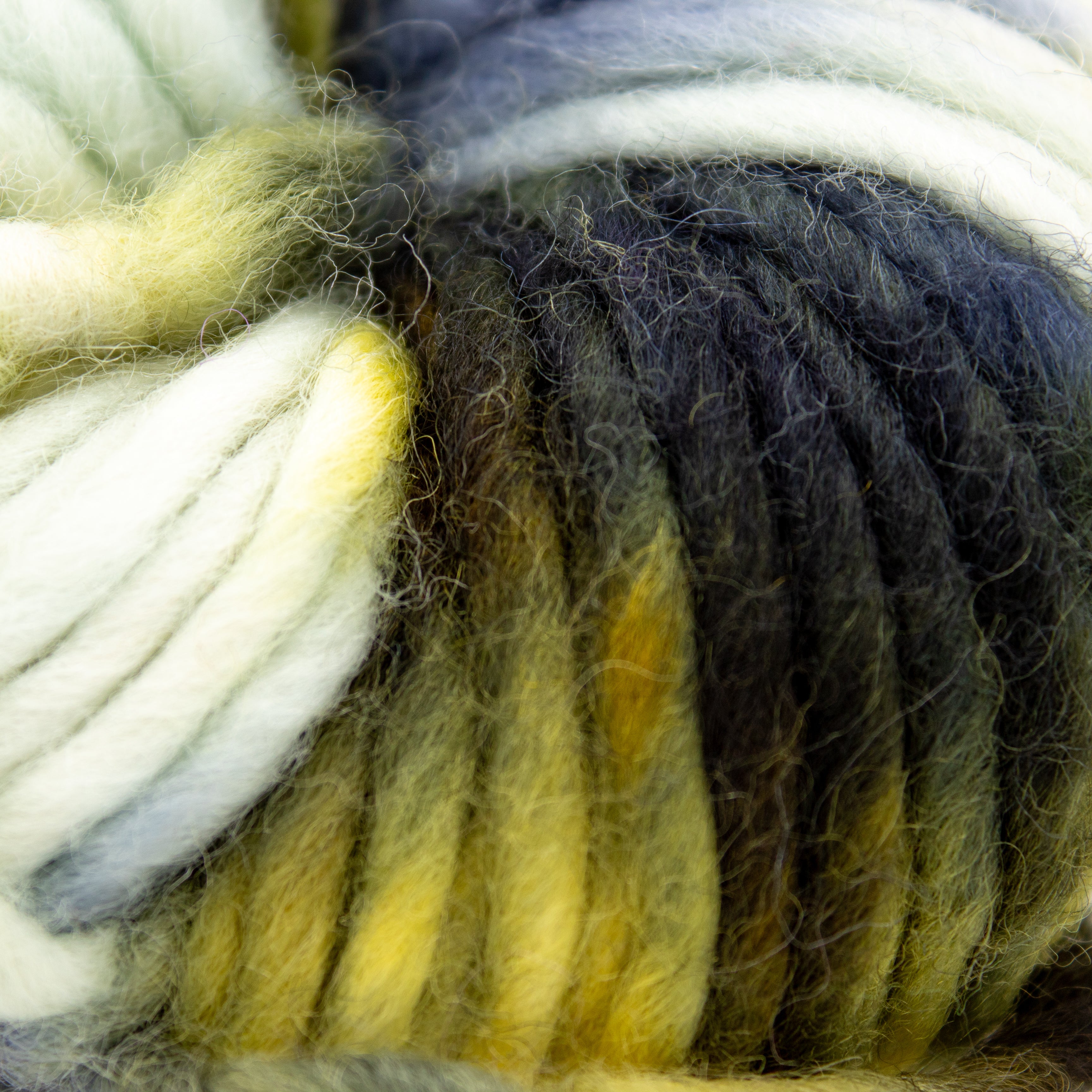Araucania Yarns Tierra del Fuego in Valdes Peninsula