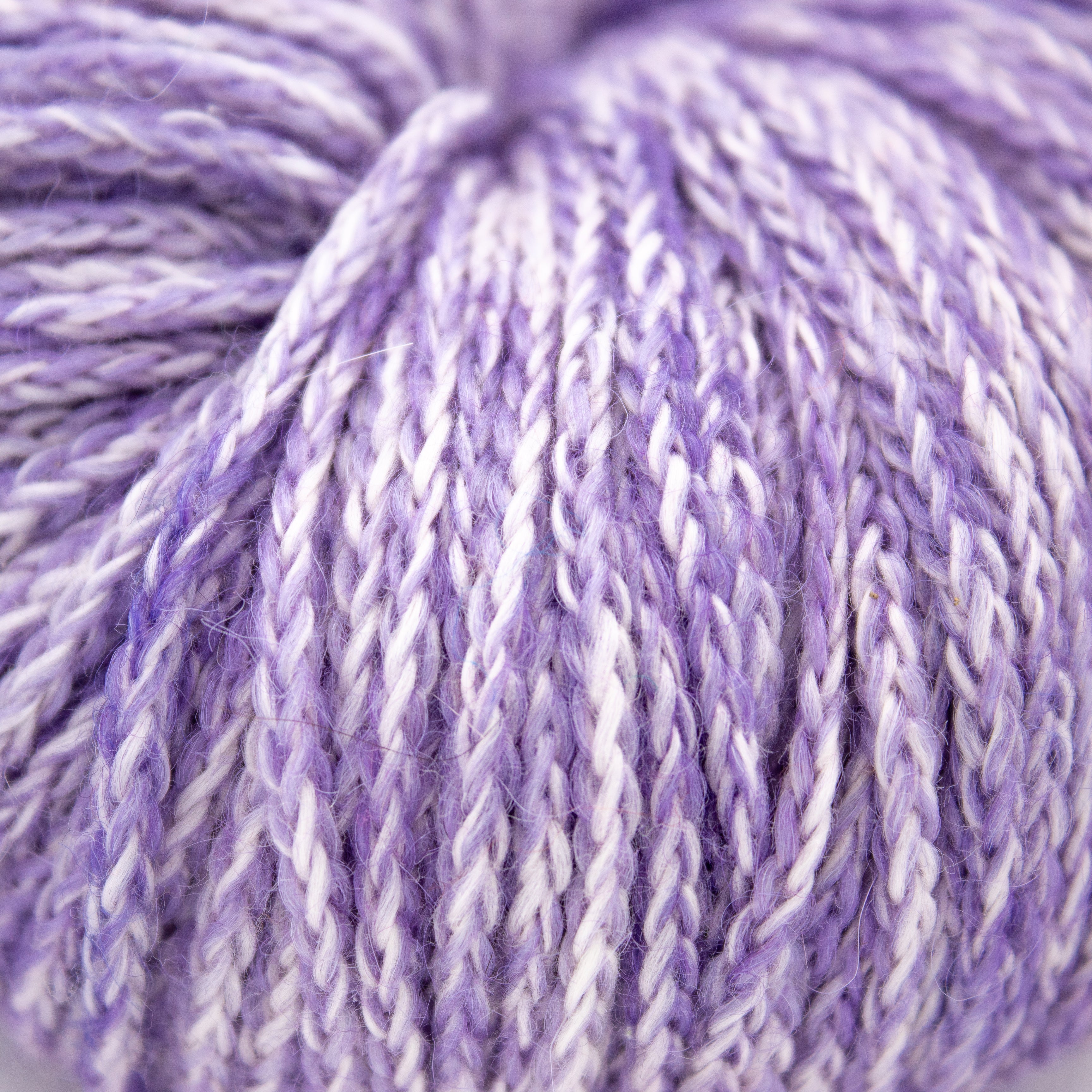 Vidalana Lofti DK in Wee Violets