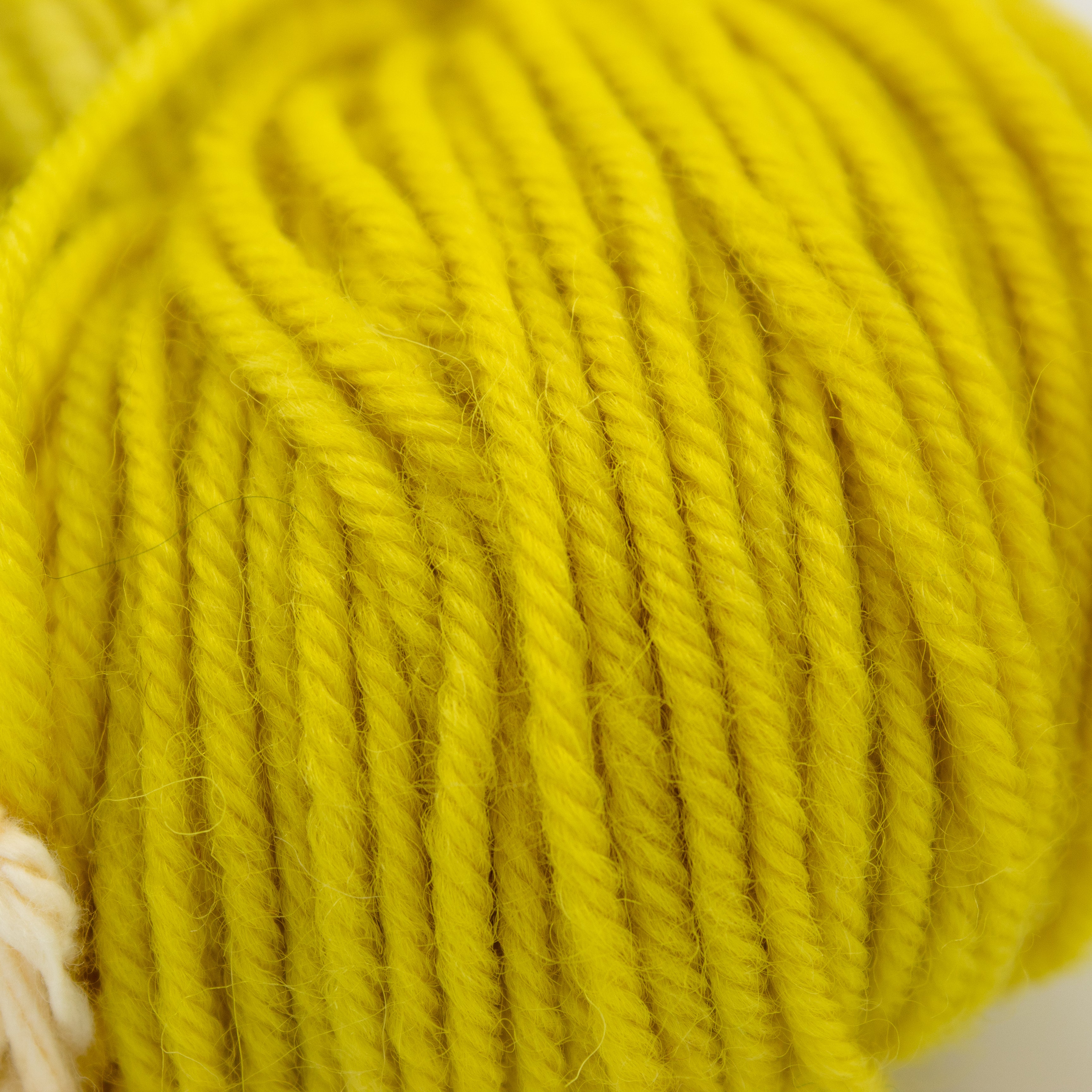 Wing and Wool SW Sport in Mustard