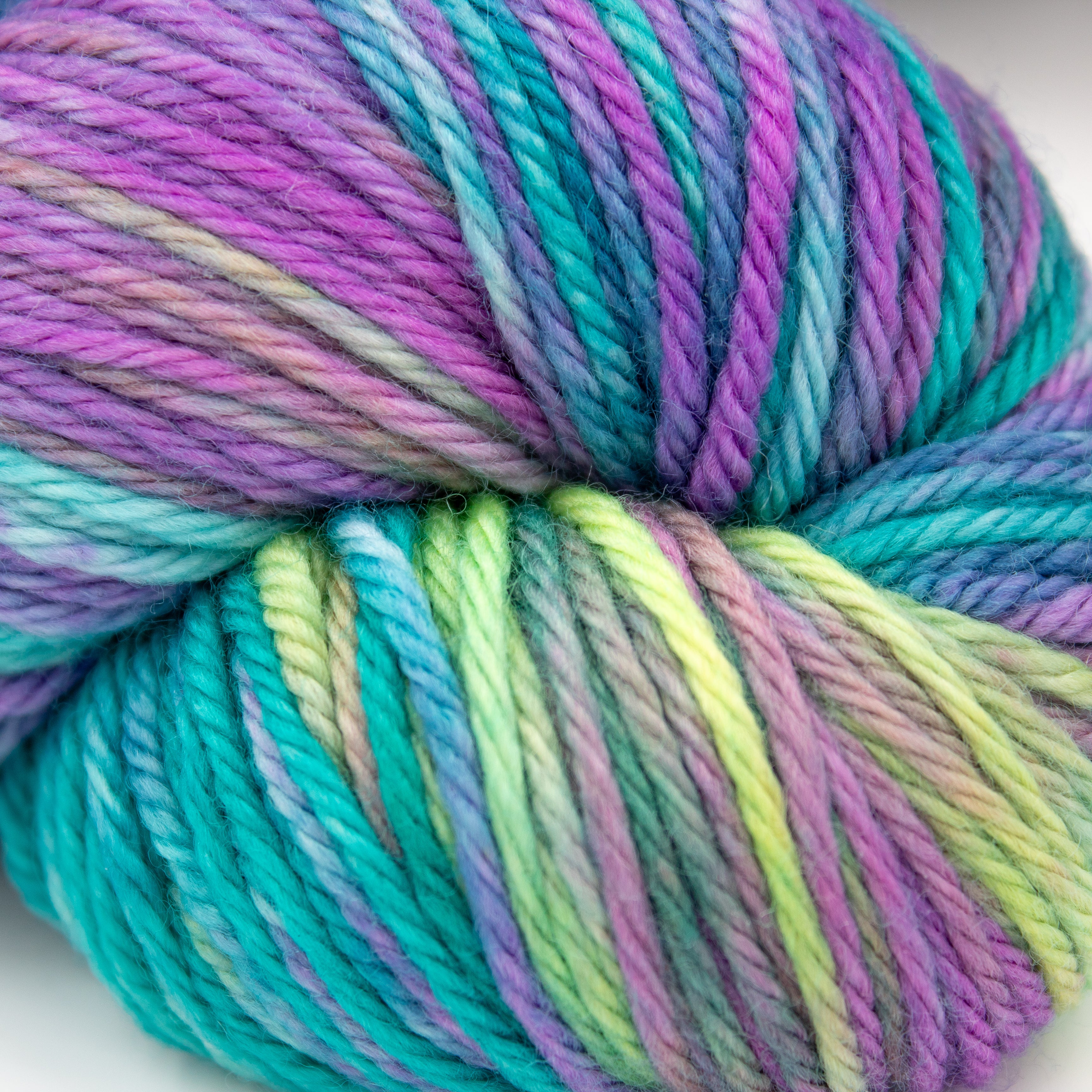 Yarn Carnival Carnie Set in Spectrum and Shadow