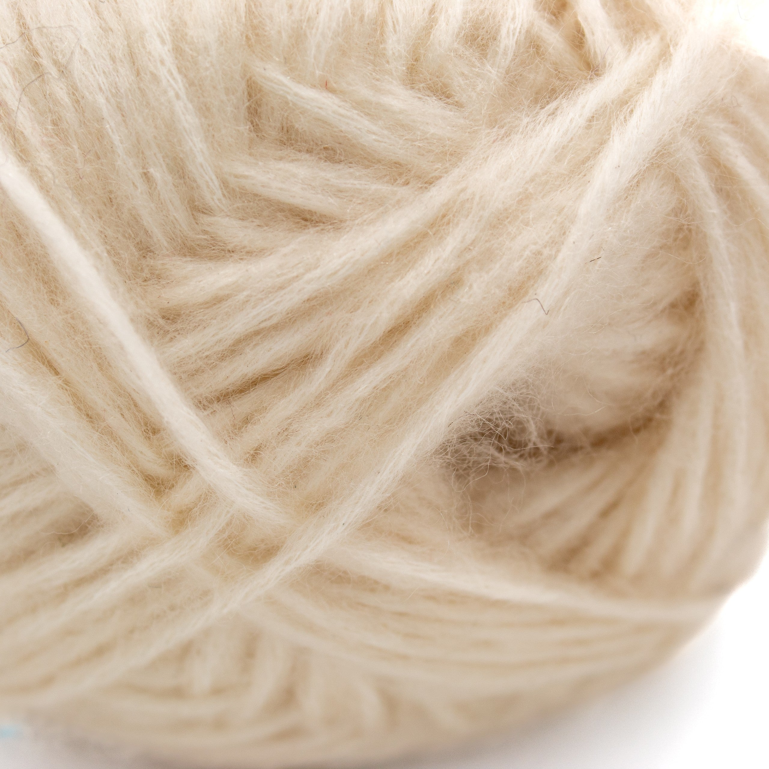 Wendy Fleur DK in Jasmine