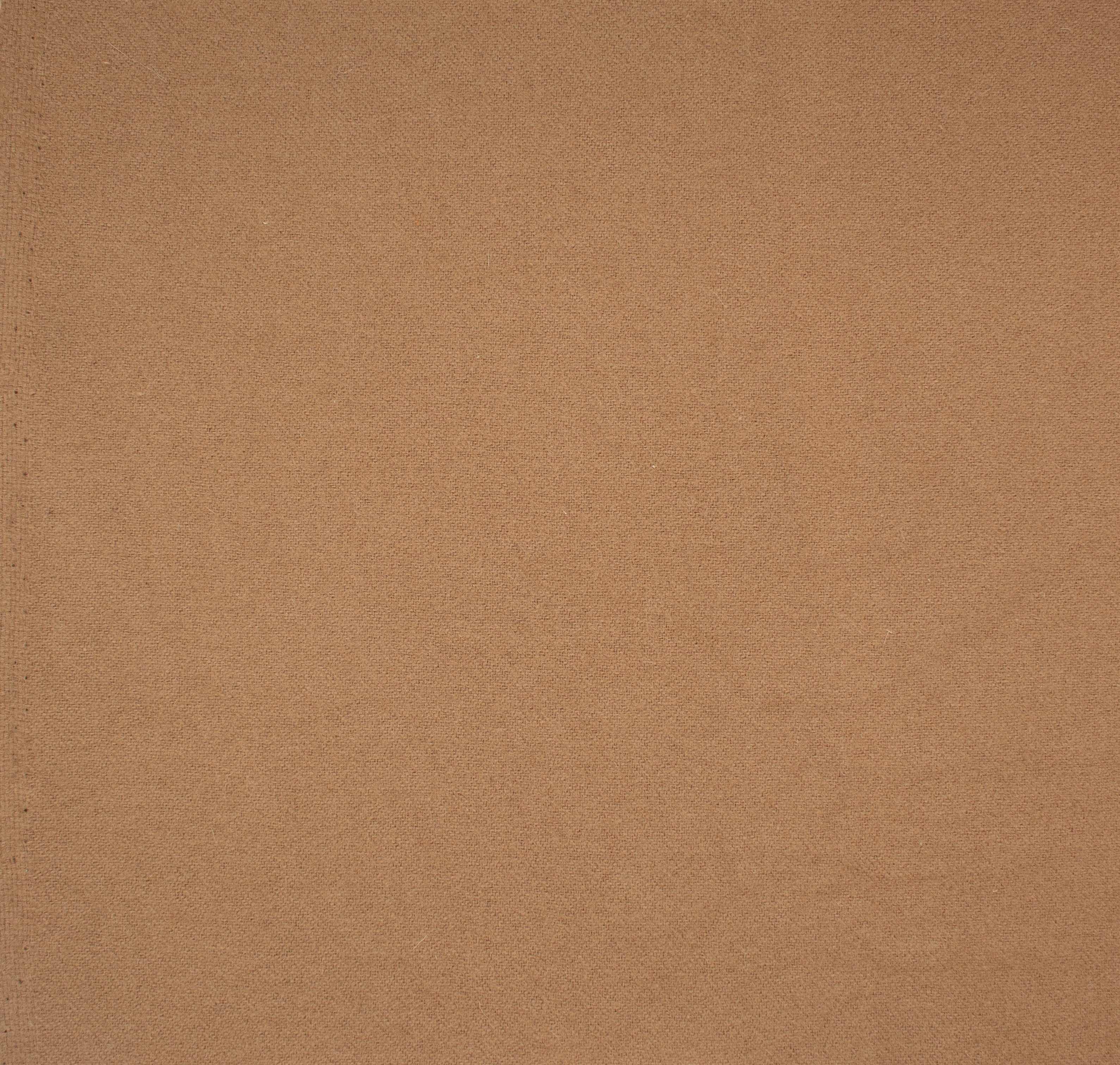 Felted Wool Blend Coating in Camel