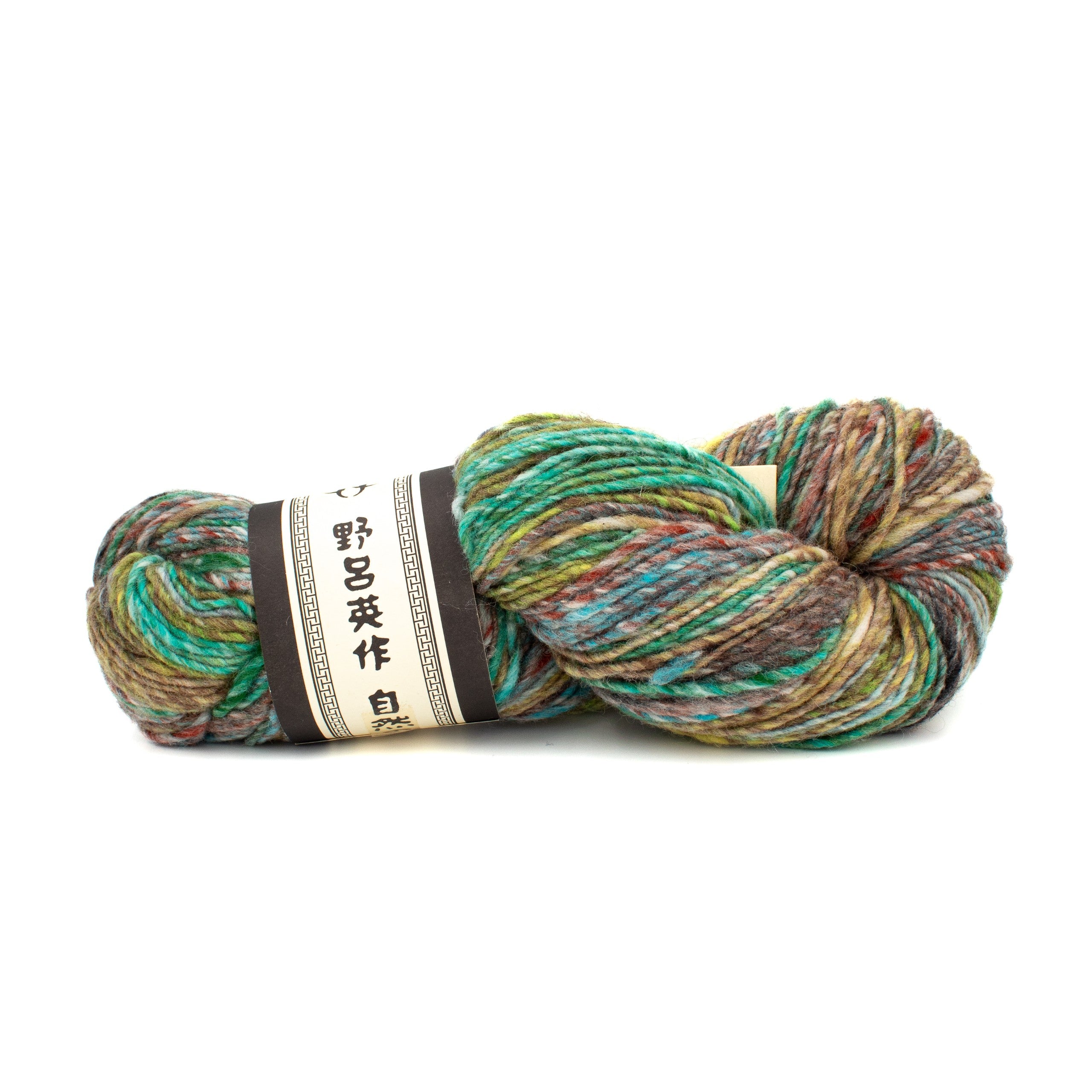 Noro Miyabi in Fujioka